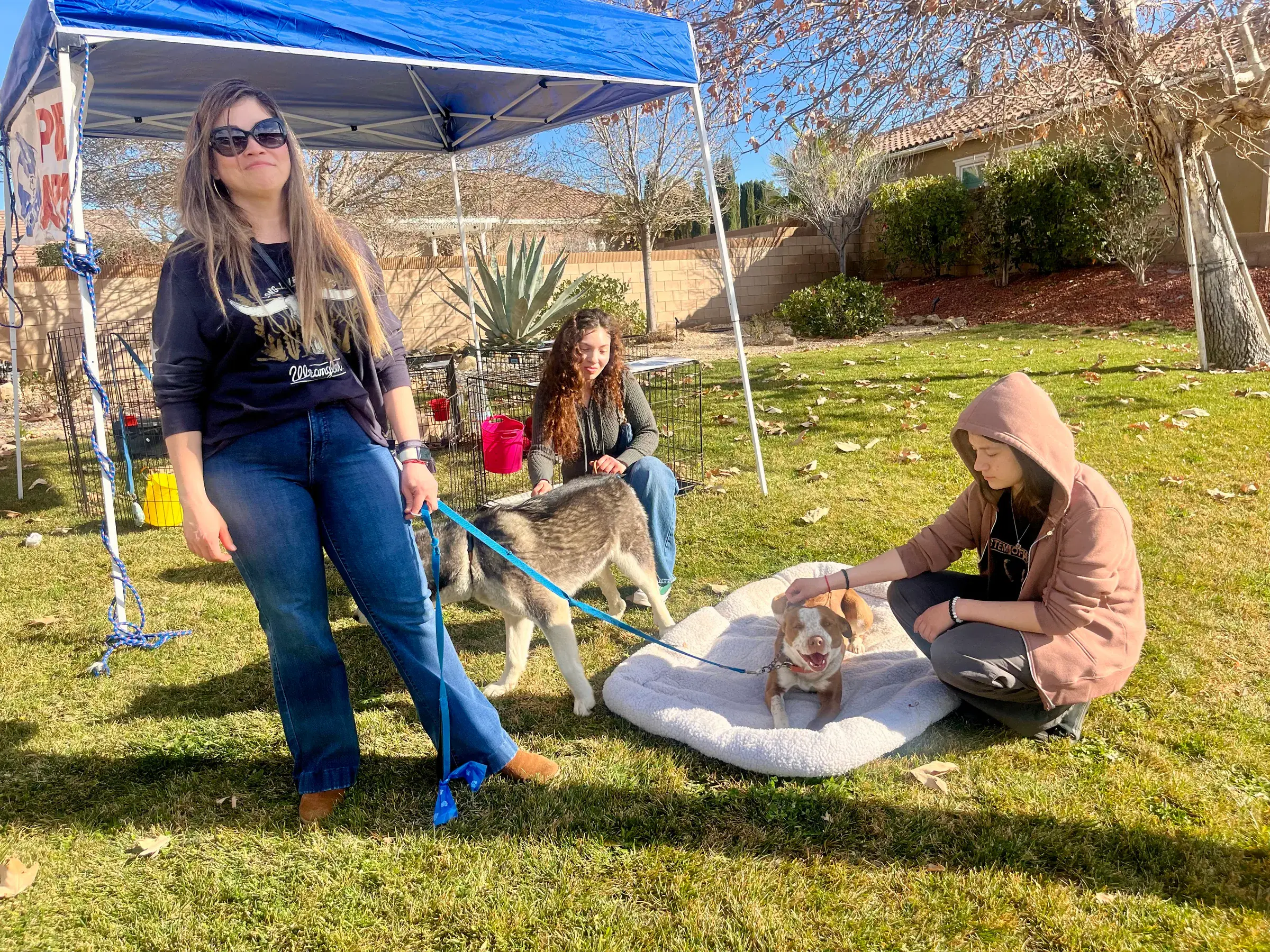 Paw Parent volunteers caring for adoptable dogs beneath the event tent